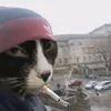 john_5311