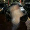 chikoo_ryanzz