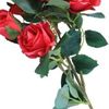 rana.hussain880