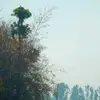 shraddha.tamang8