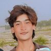 sehryar53