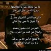 user8002663091479
