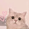 nguyenlekieutien_