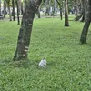 qut.cam14
