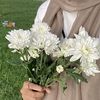 cibungsu_6