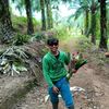 mamat_lagi_sakitprut