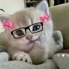 arya.lhamo0