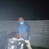 painopain86
