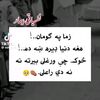 zszzzz017