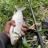 newwacount25
