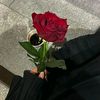 user20665008224563