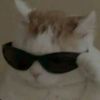 gfx_xyr_