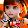 saduni5933