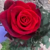 mon.jardin.secret74