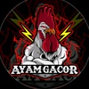 ayamgacor02