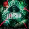 temhik_528