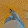 julia.0393