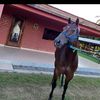 Ever Nuñez