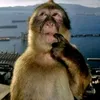 hunghuy.182