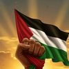 niamatshaheen92gmail.com