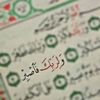 hayfa20245