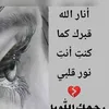 user40675656803520