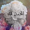 basma8655