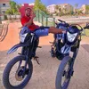 fes.vigas2