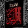user3115475460699