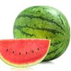 watermelon_57a