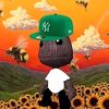k_vince12