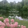 user2596396616028