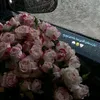 z00z15500