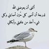 user76616282618748