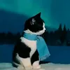 basta_ayoko_na