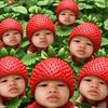 __.khawfang14y.__