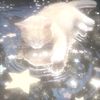 suncore_dreamzz