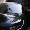 alisousi0