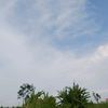 ashaaaaa_81