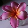 sriadi.wella_