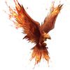 logan.phoenix7