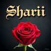 sherazi2133