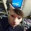 vdung31_
