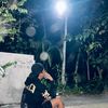 tyoanjir