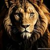 abrahem.abo.hasan