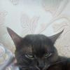 klutoy_popka52