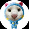 kaokao_543130