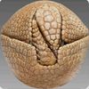 leather_ball_8