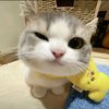 jae_kaa