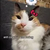 .vu.hau
